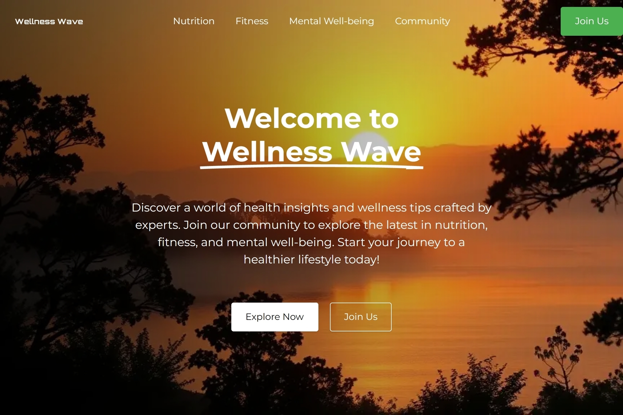 Health blog website template