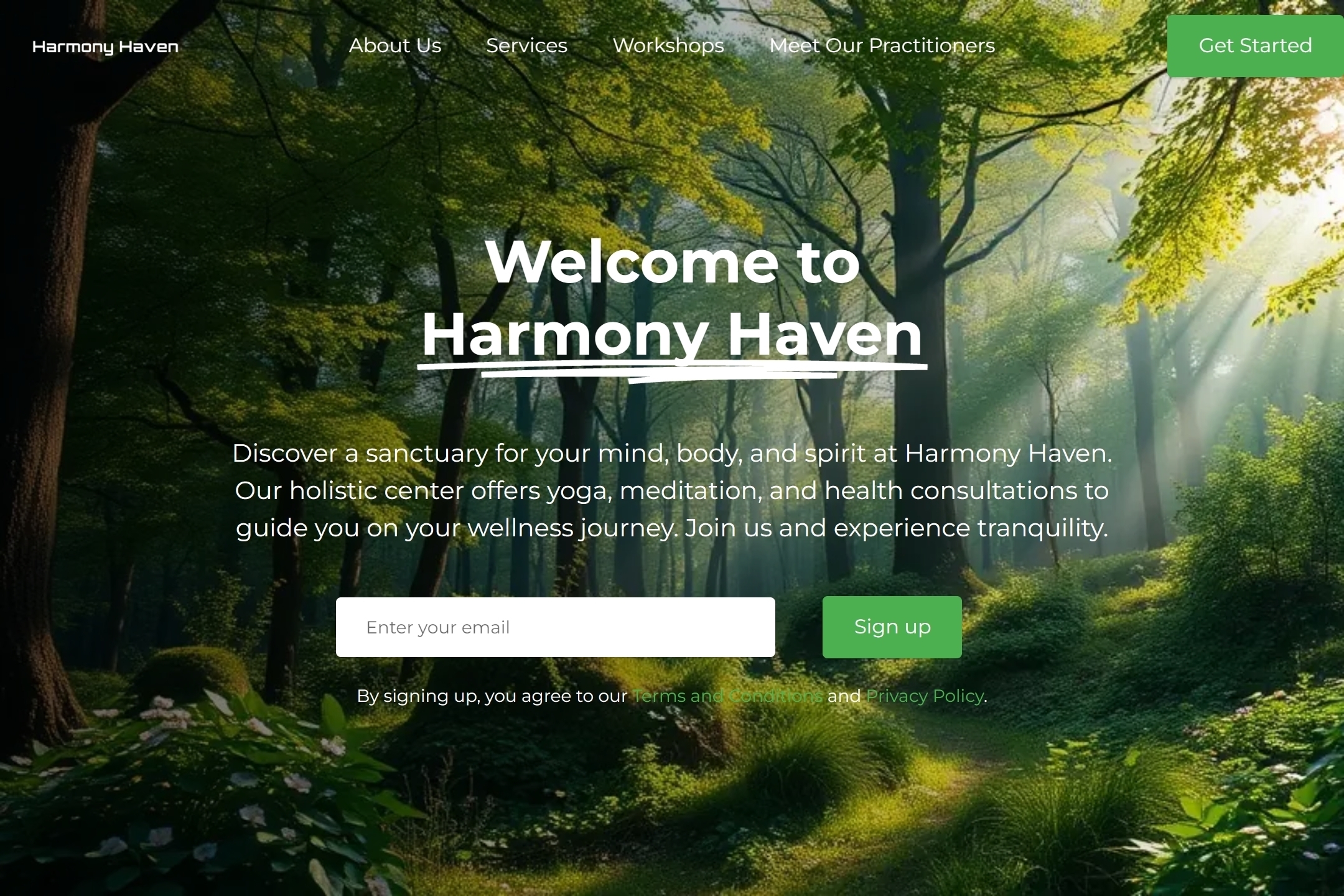 Holistic Center website template