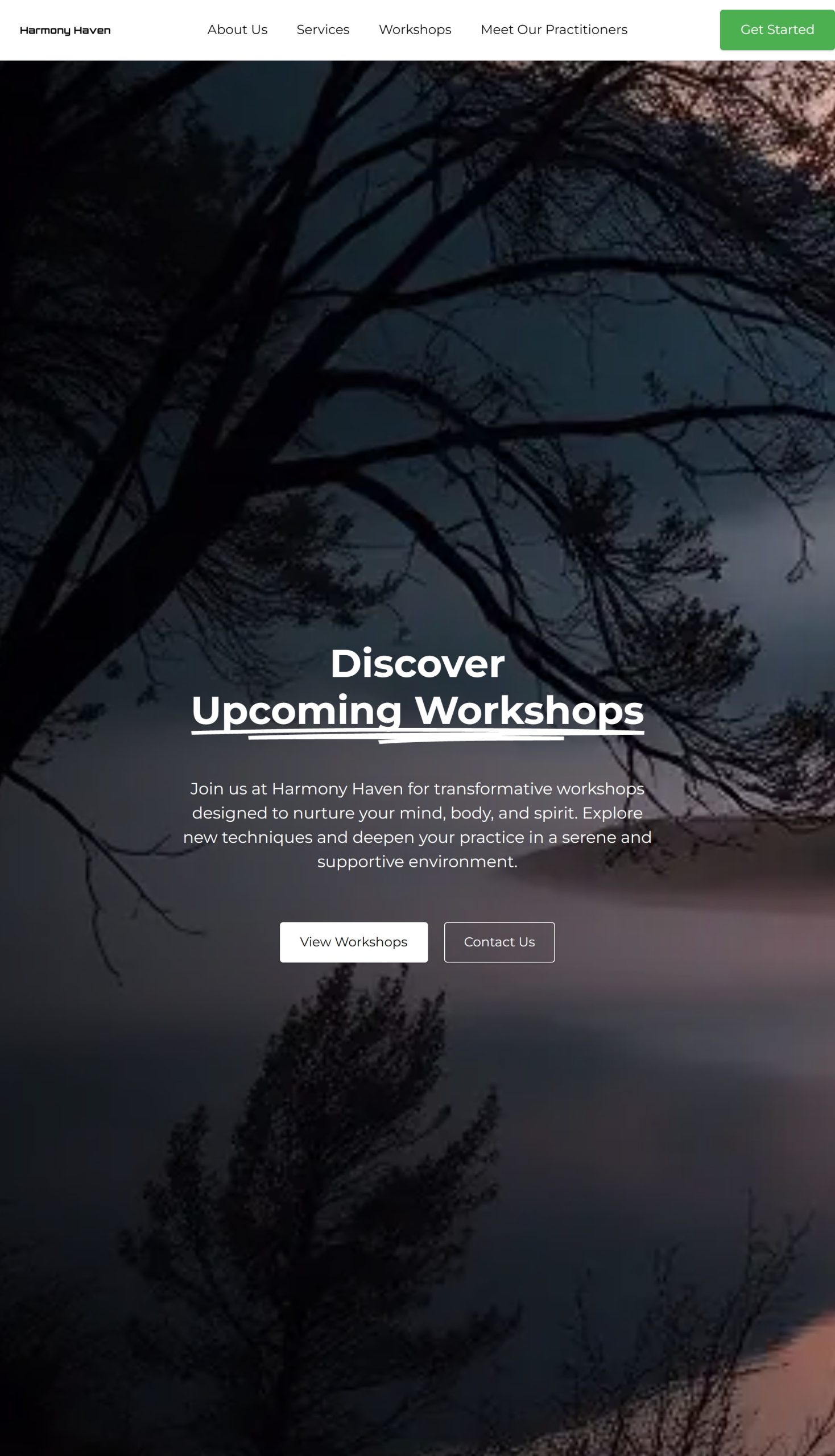 Workshops
