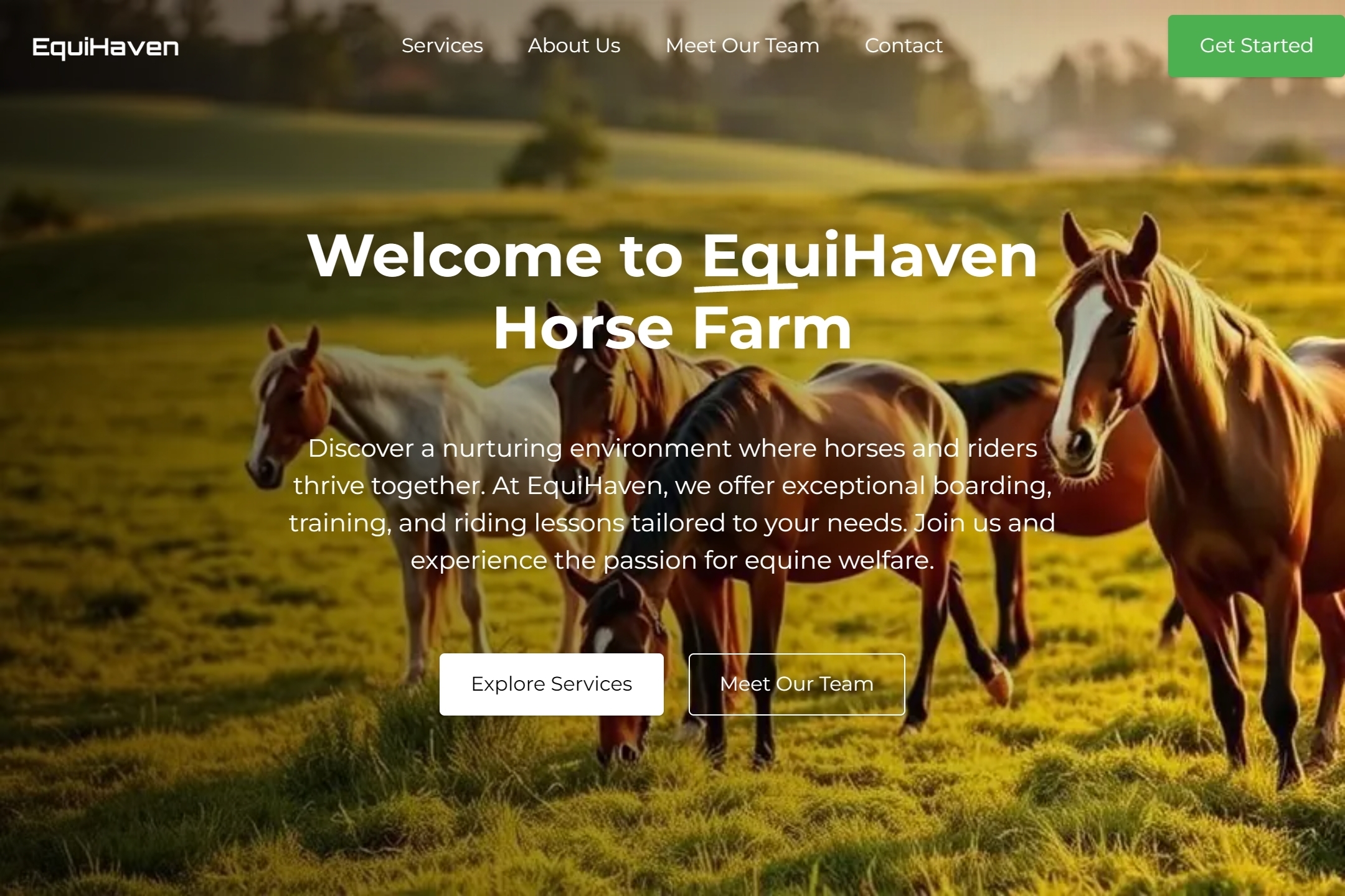 Horse farm website template