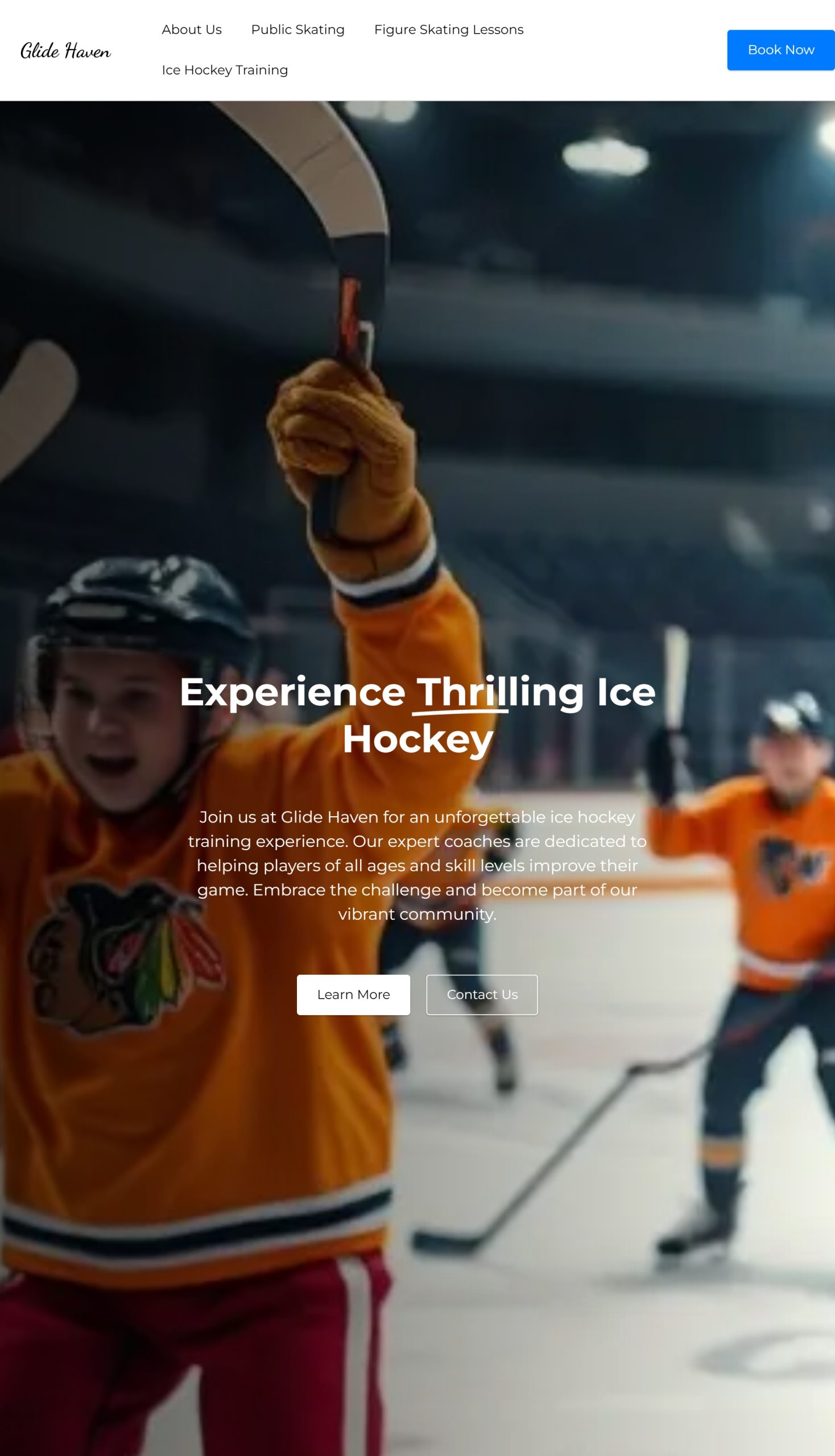 Ice Hockey Training