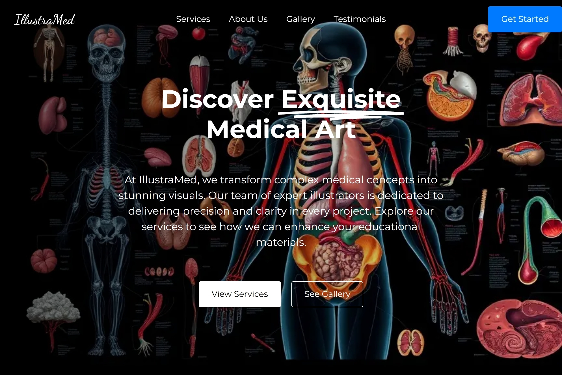 Medical illustrator website template