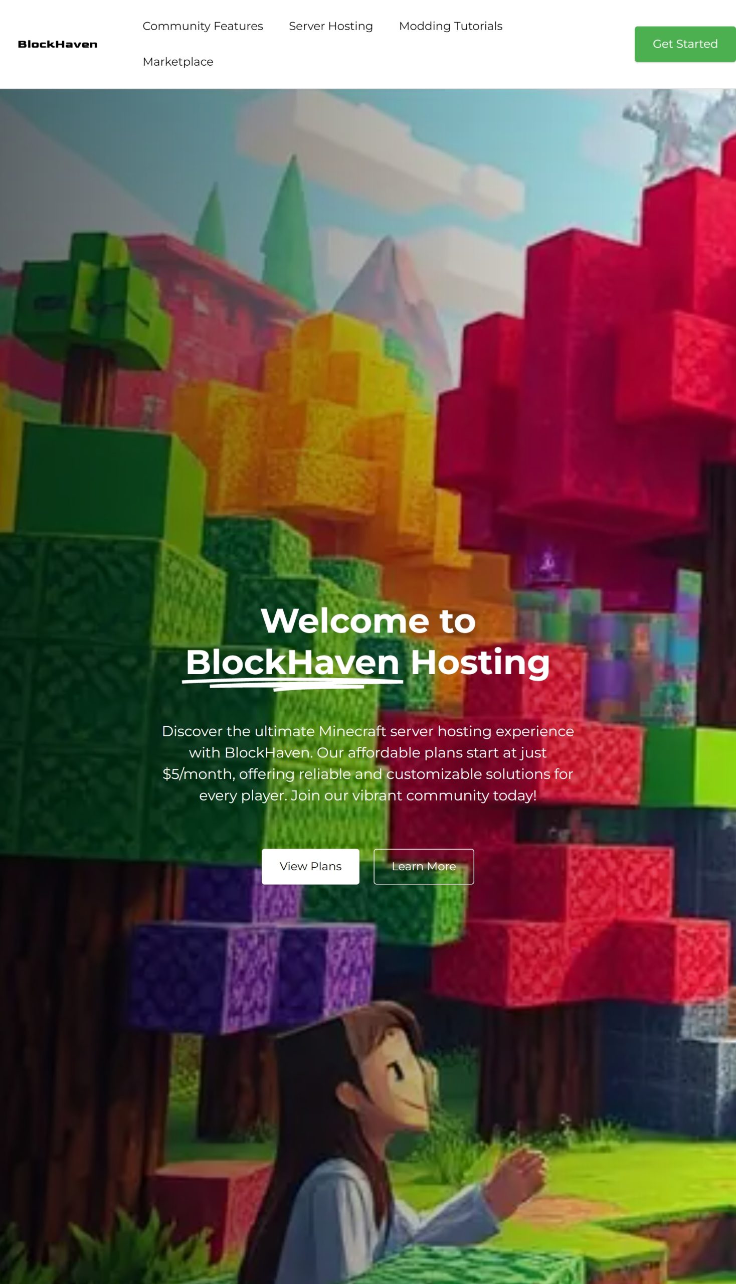 Server Hosting