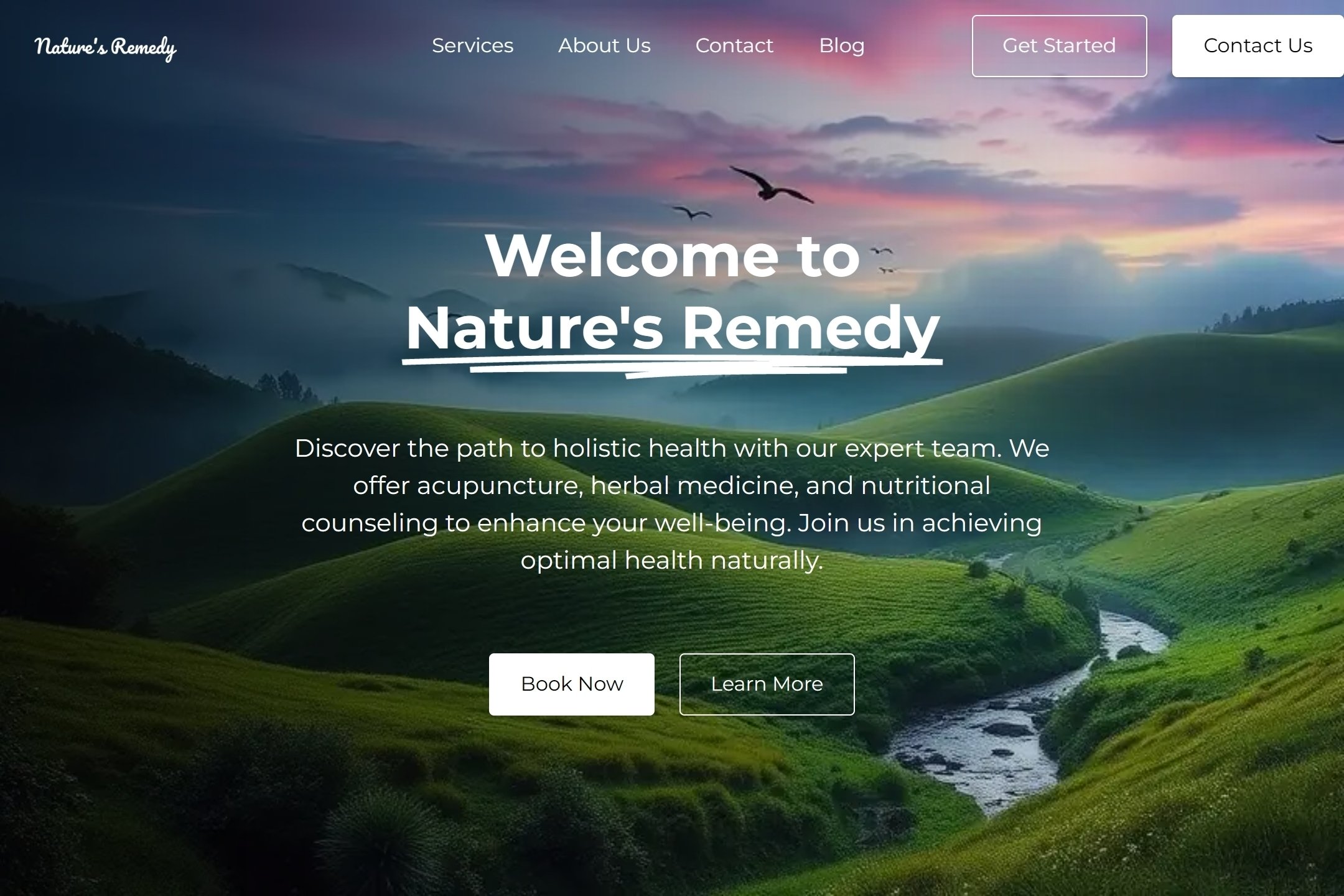 Natural Healthcare Center website template