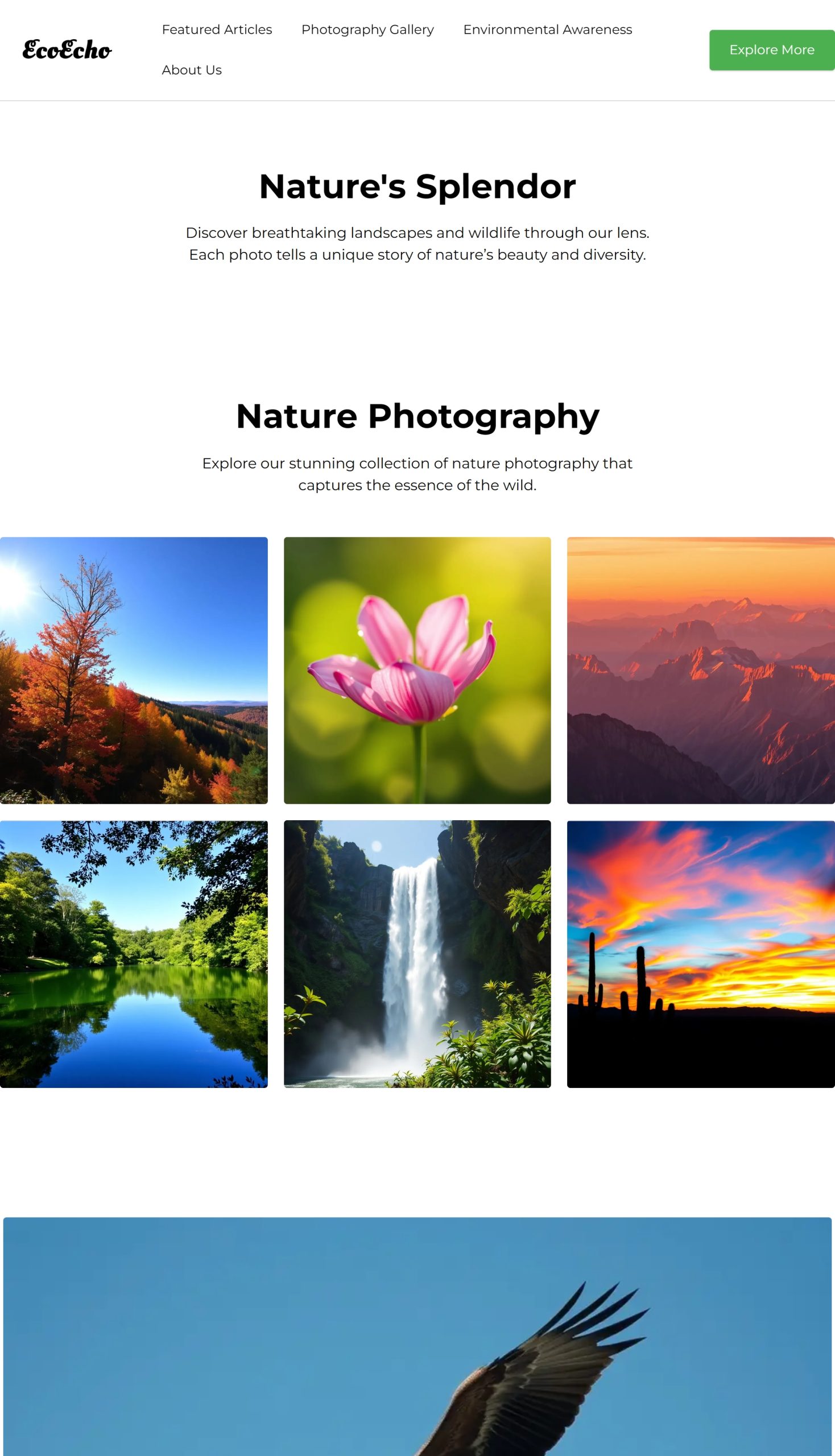 Photography Gallery