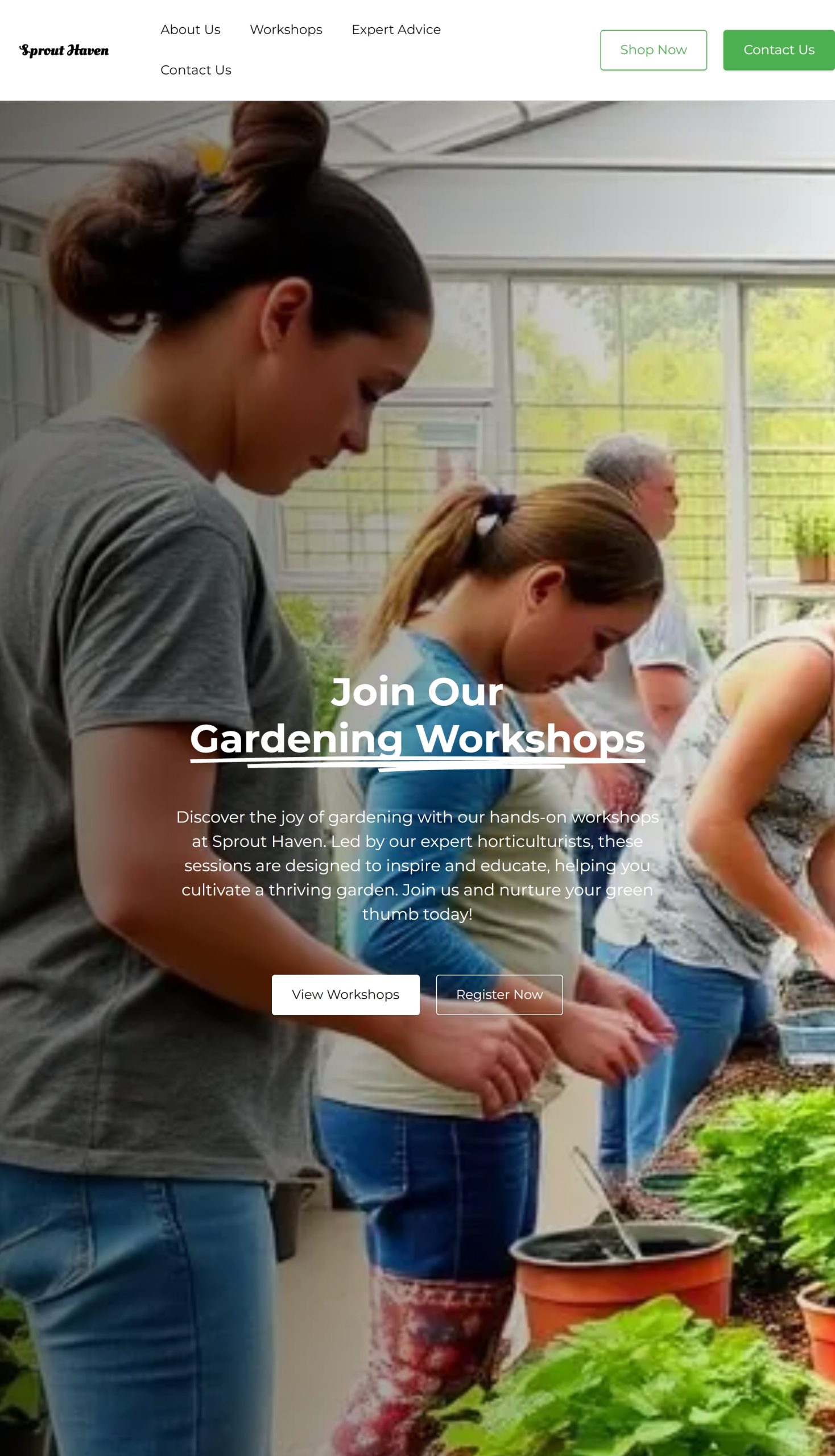 Workshops