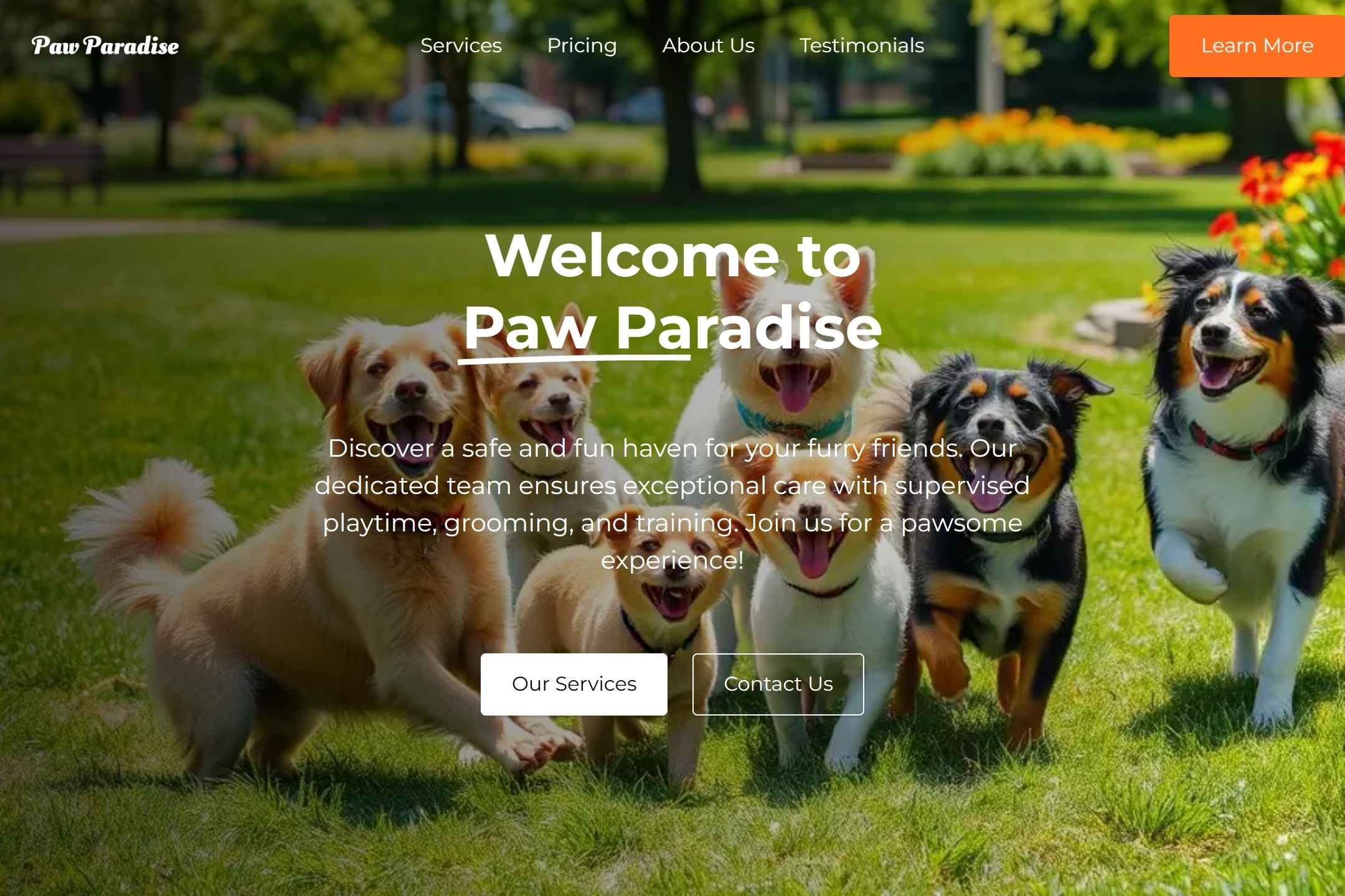 Pet daycare website template
