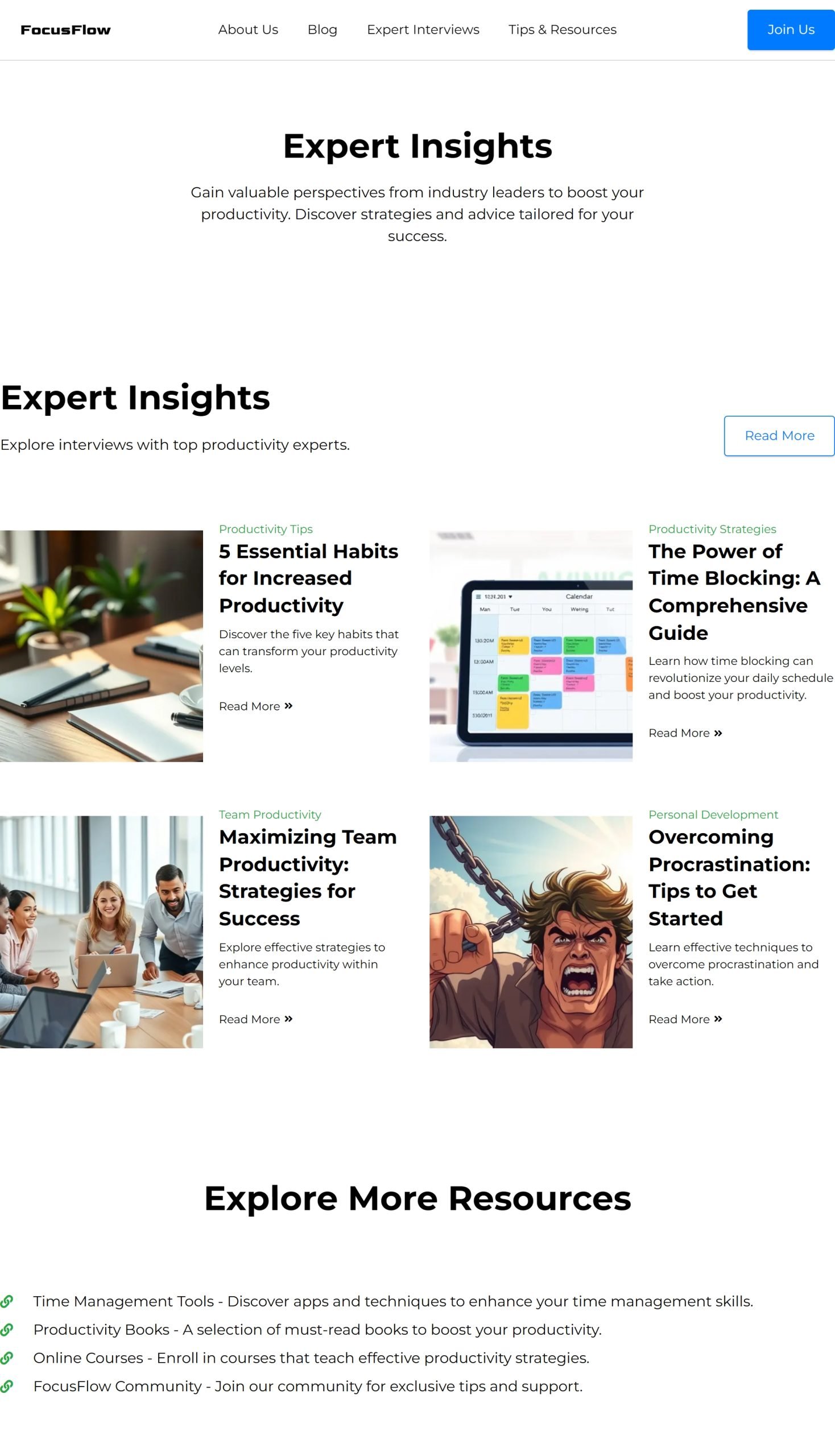 Expert Interviews