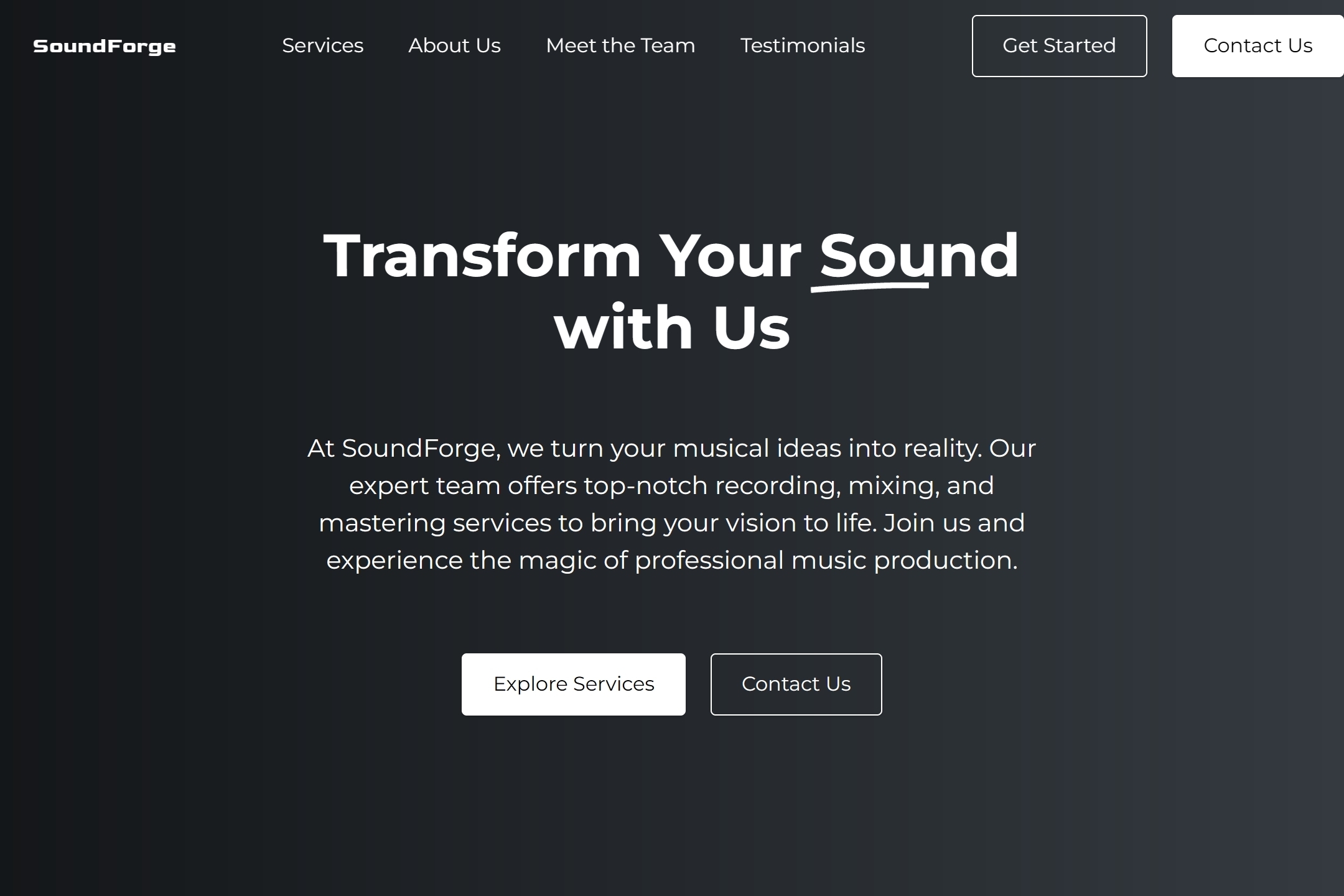 Record producer website template