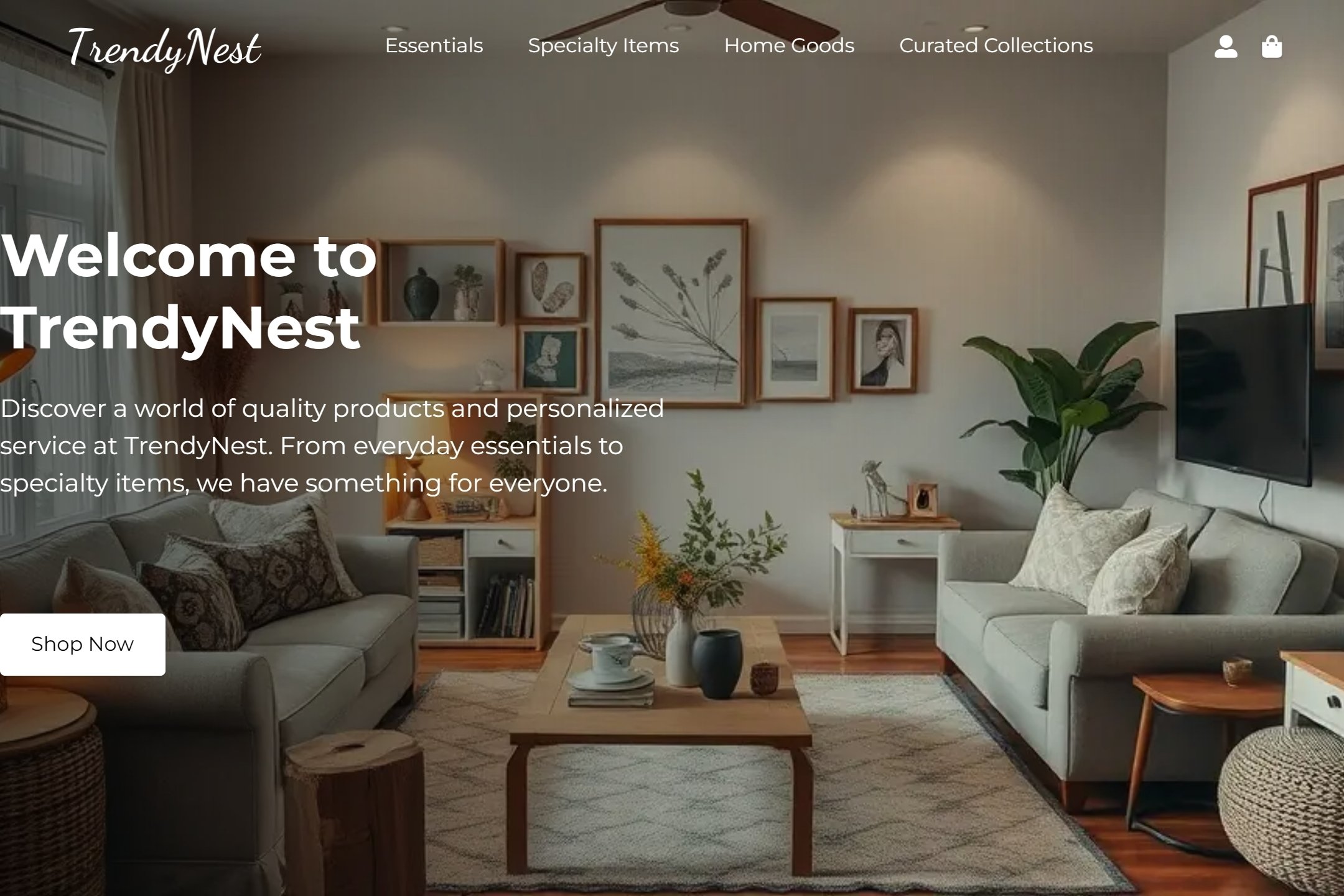 Retail store website template