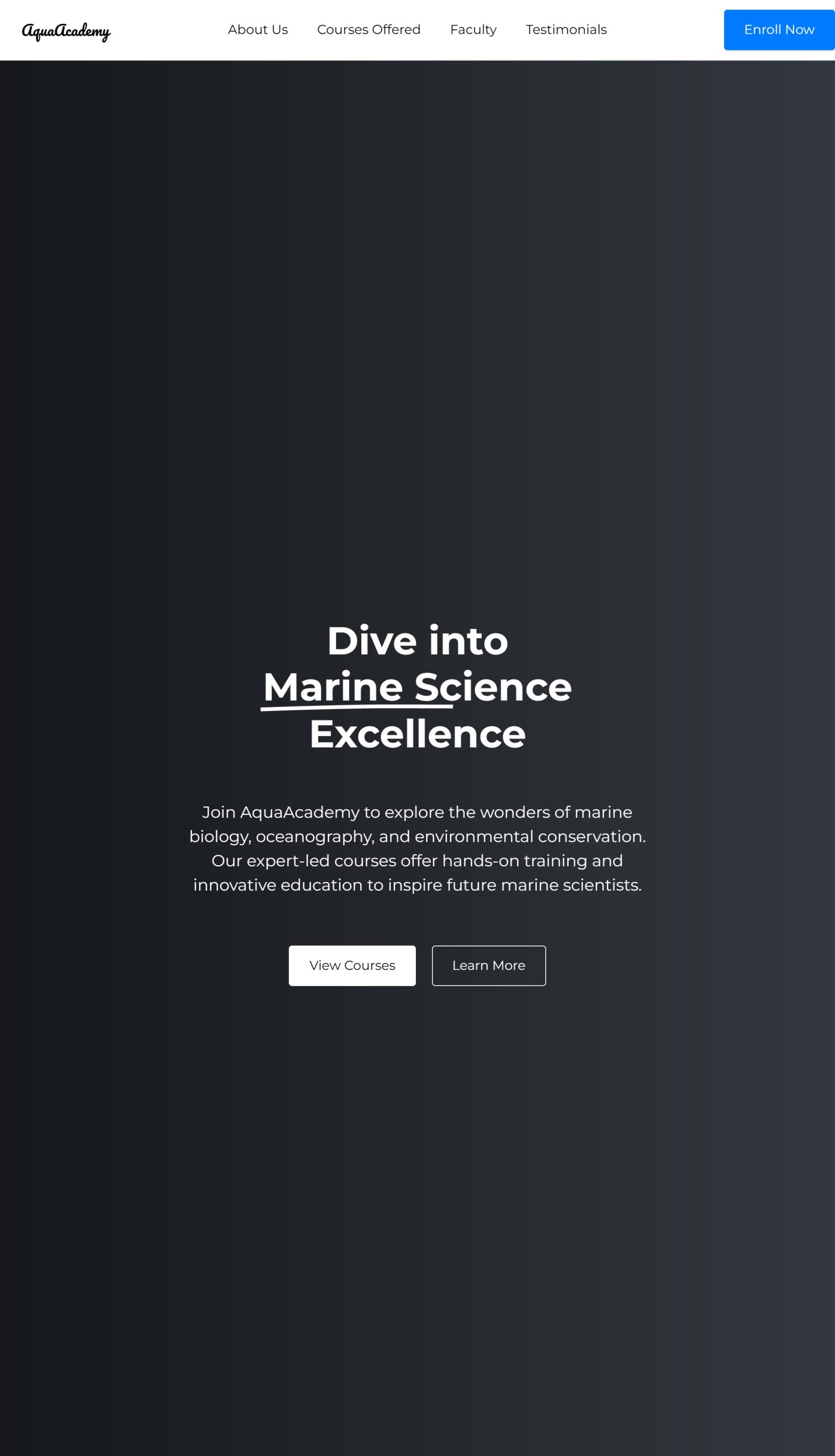 Courses Offered