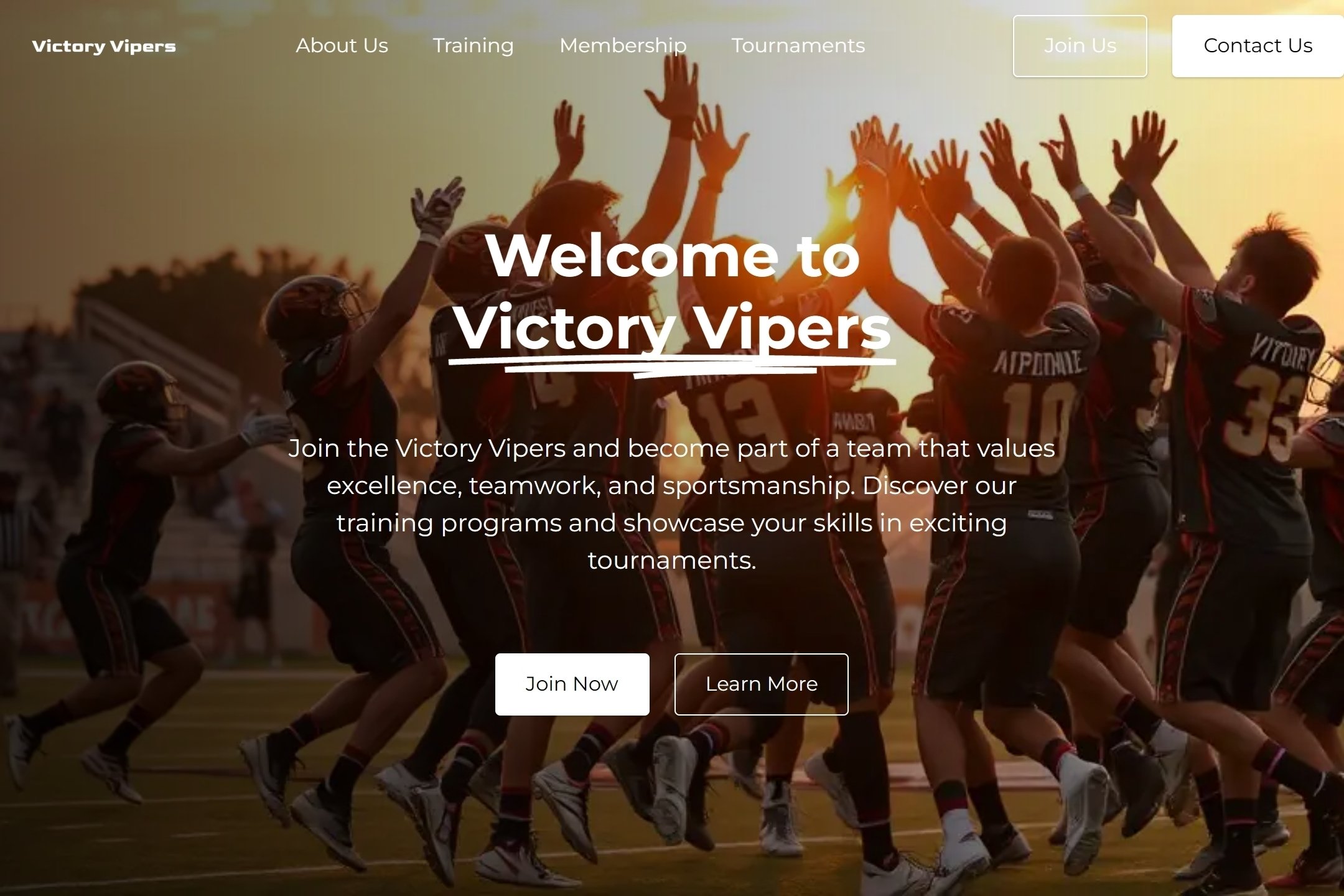 Best Sports Team Website Template Best Sports Team Website Template