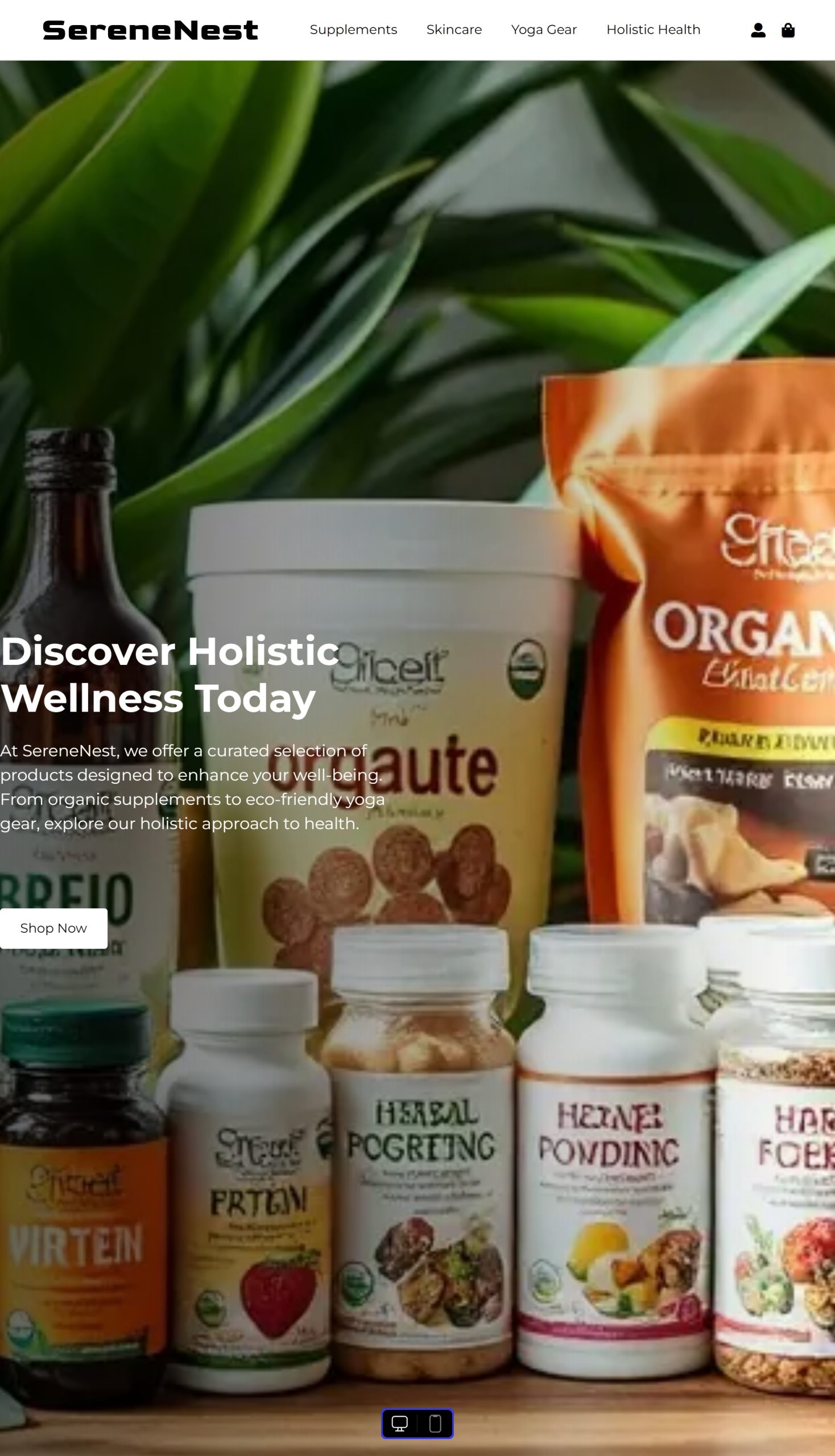 Holistic Health