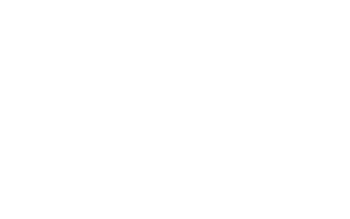 website domain