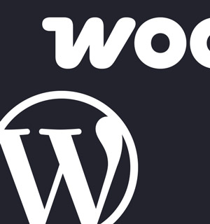 Speed up WordPress development with AI.