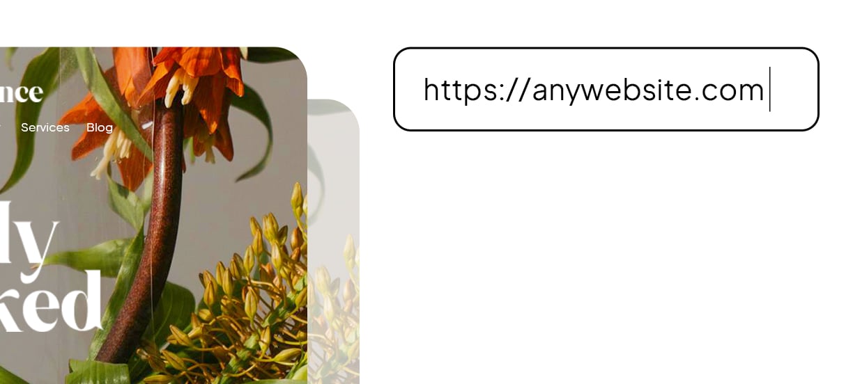 Convert to WordPress