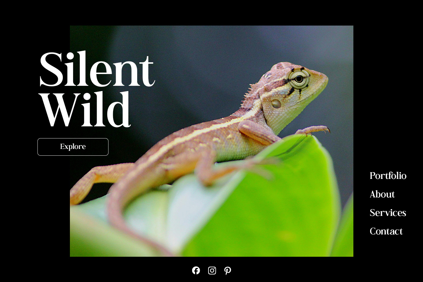 Photography website example