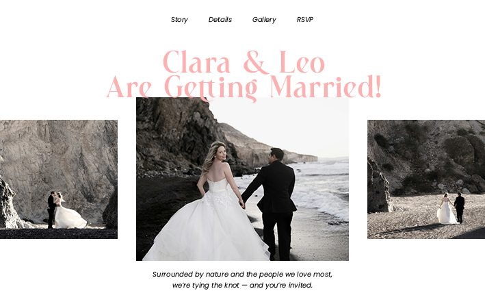 Blush and Bloom website template