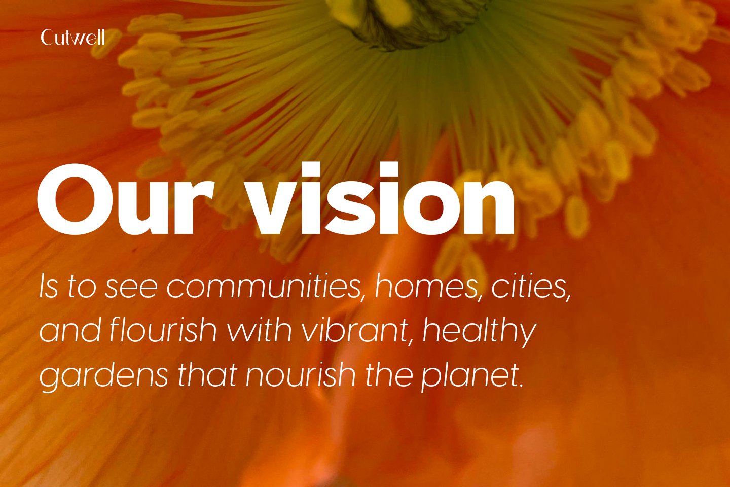 Where to use mission statement generator