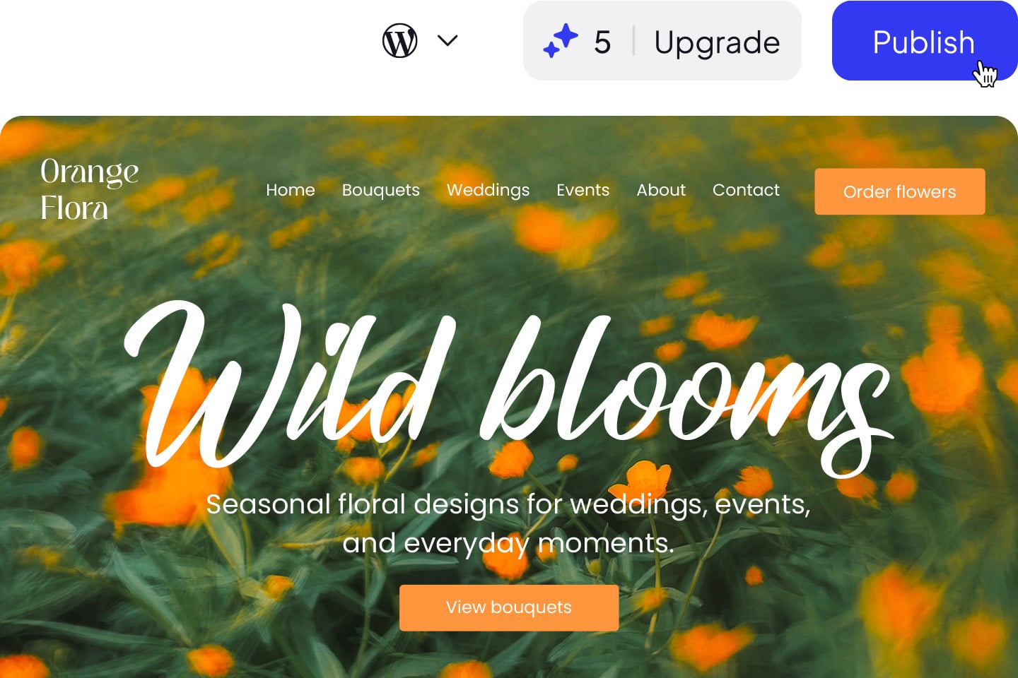 Launch your website.