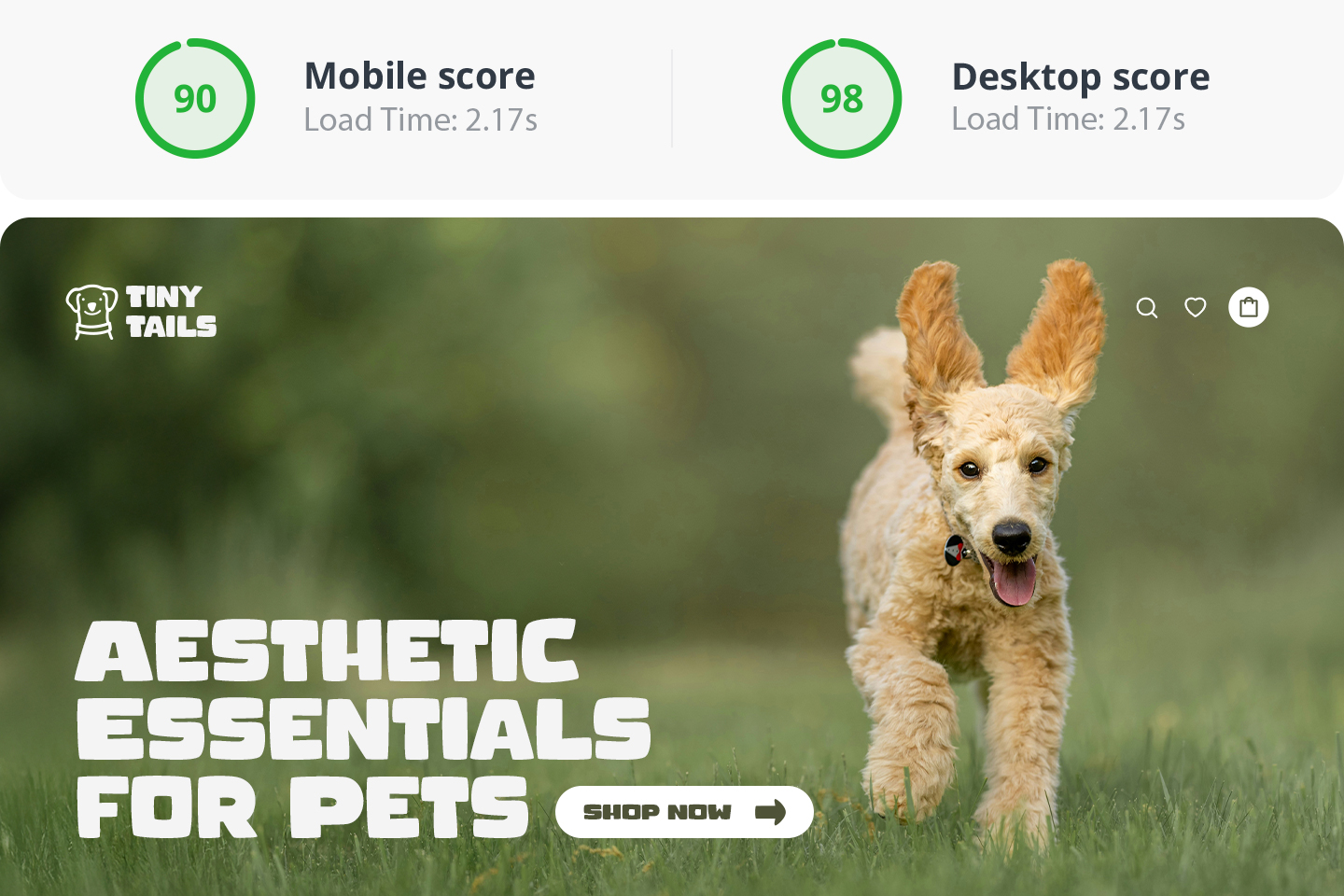 Fast, secure, and SEO-optimized